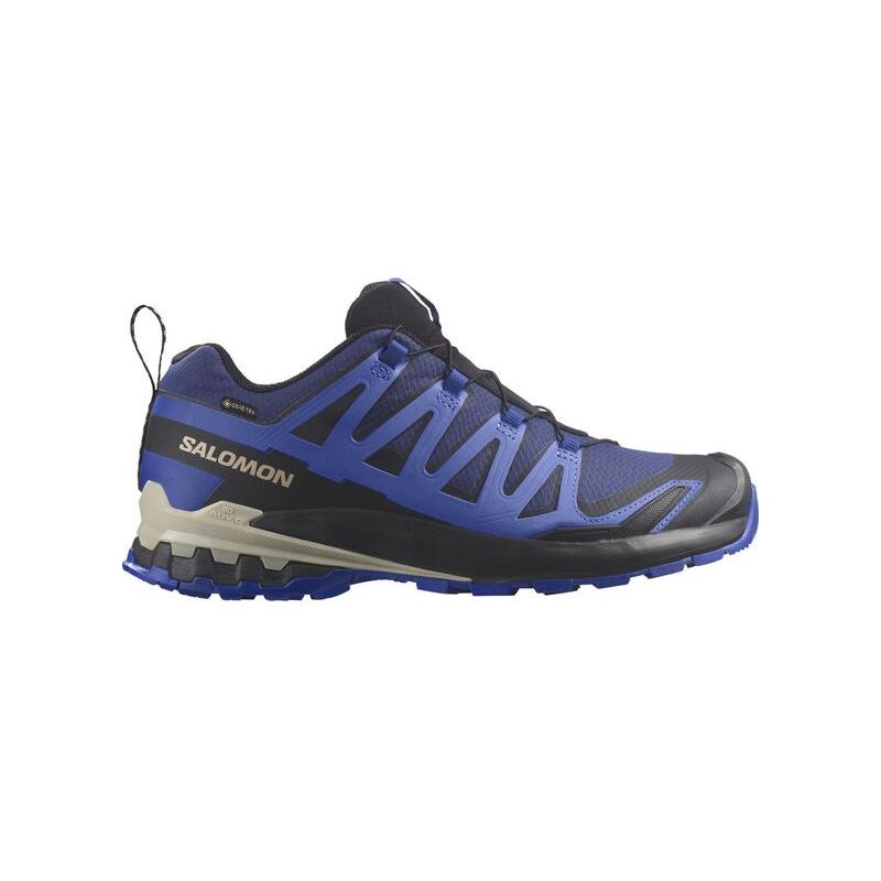 Salomon Mens Trainer XA Pro 3D V9 GTX Blue Print/Surf The Web/Lapis Blue