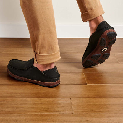 Moloa Sneakers - Premium Brand Shoes for Men and Women