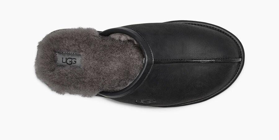 Scuff Leather Slipper Sneakers - Premium Brand Shoes for Men and Women