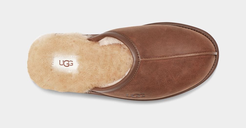 Scuff Leather Slipper Sneakers - Premium Brand Shoes for Men and Women