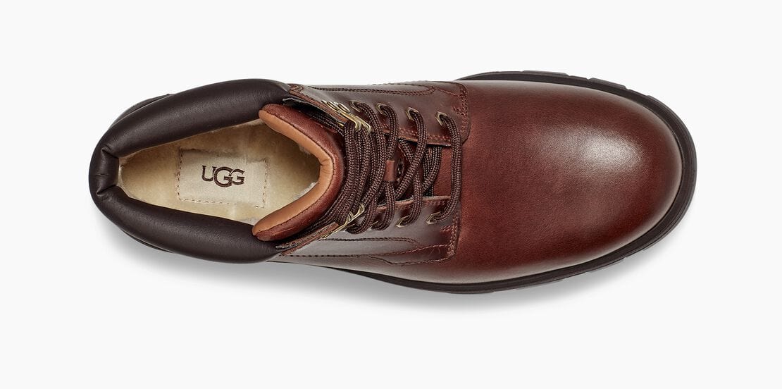 Stenton Sneakers - Premium Brand Shoes for Men and Women