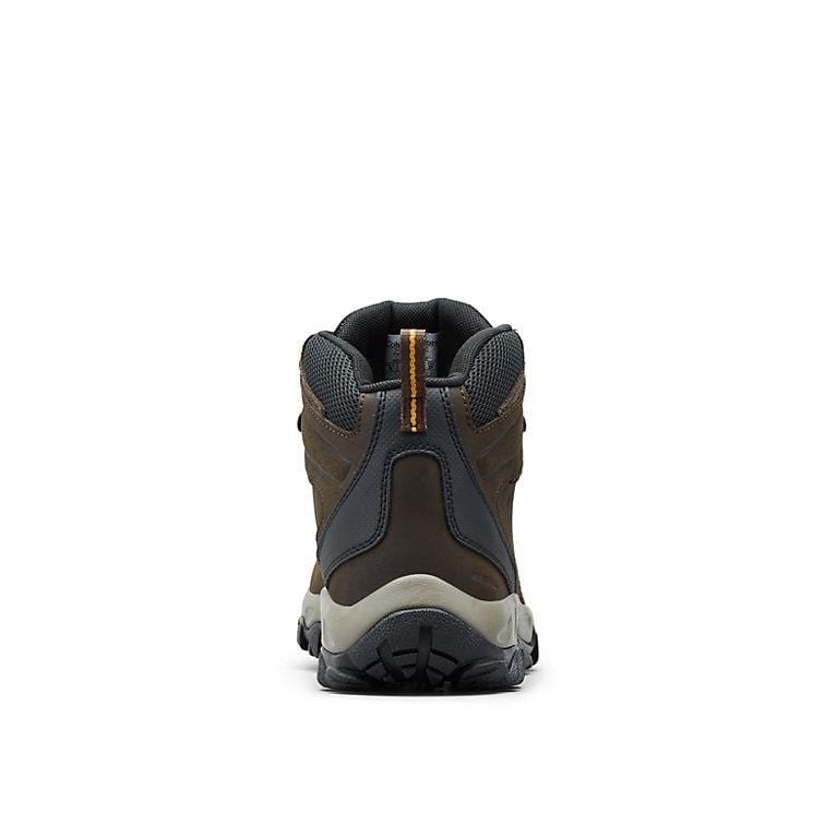 Newton Ridge Plus II Waterproof Sneakers - Premium Brand Shoes for Men and Women