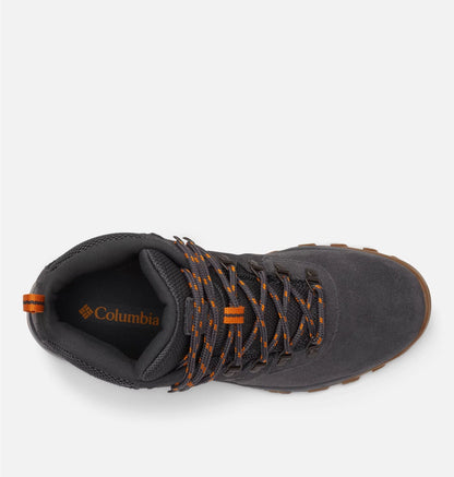 Newton Ridge Plus II Suede WP Sneakers - Premium Brand Shoes for Men and Women