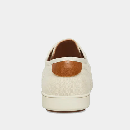 Fenta Sneakers - Premium Brand Shoes for Men and Women