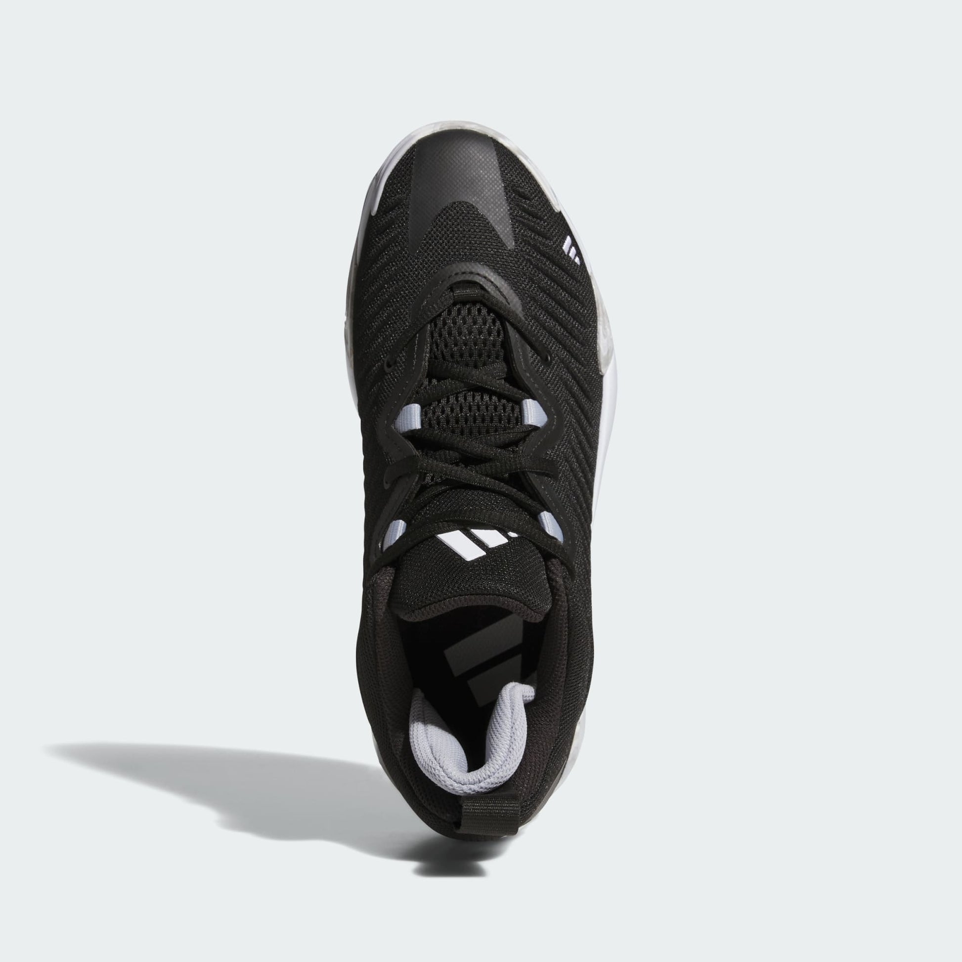 Initiation Sneakers - Premium Brand Shoes for Men and Women