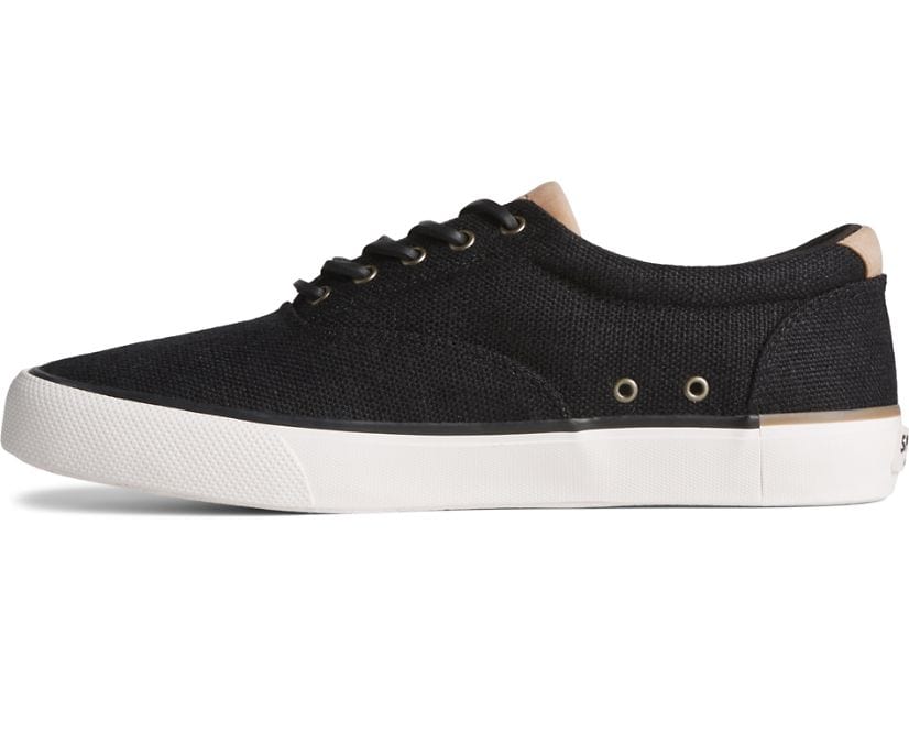 Seacycled Striper II CVO Baja Sneakers - Premium Brand Shoes for Men and Women