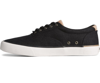 Seacycled Striper II CVO Baja Sneakers - Premium Brand Shoes for Men and Women