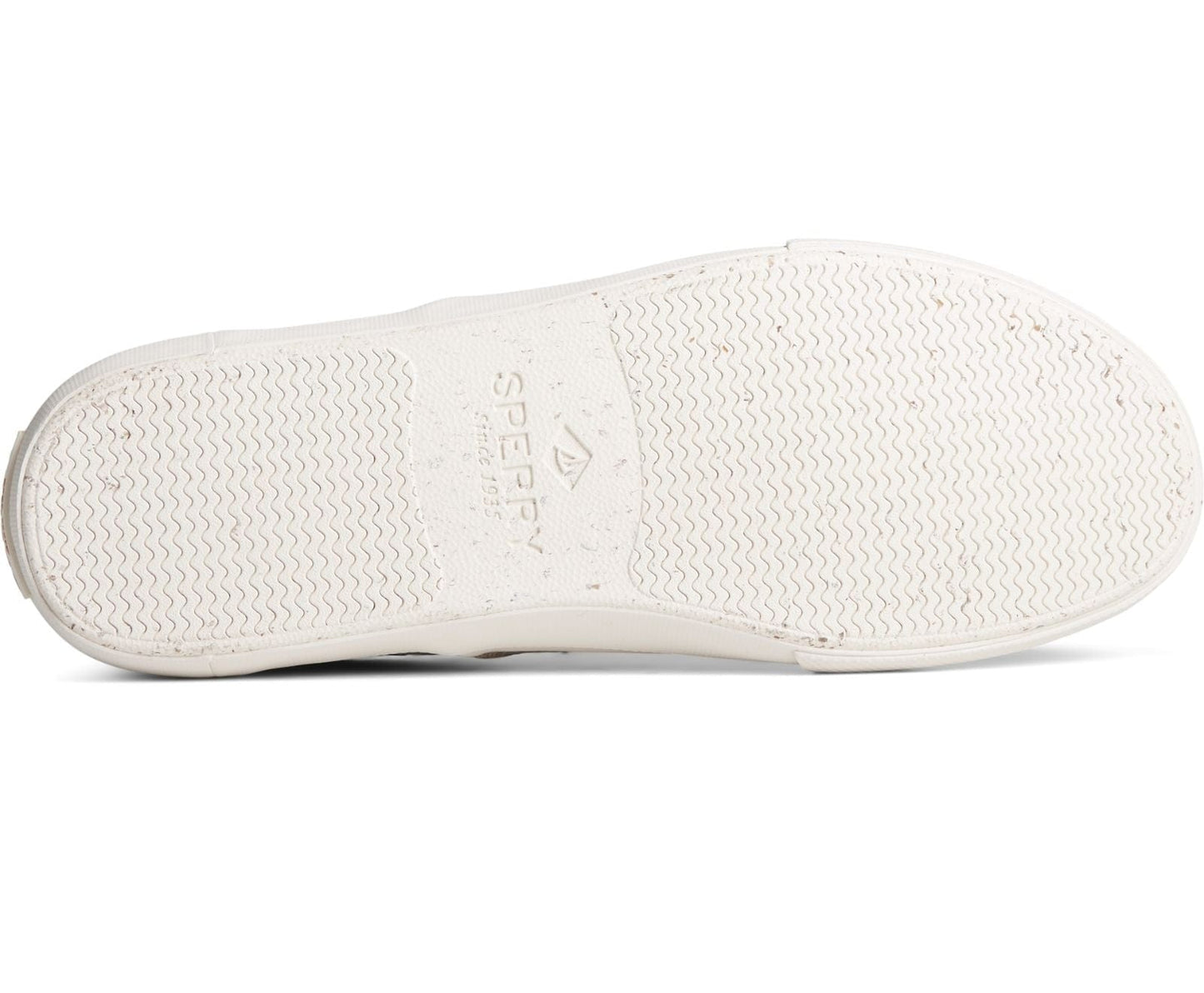 Seacycled Striper II CVO Baja Sneakers - Premium Brand Shoes for Men and Women