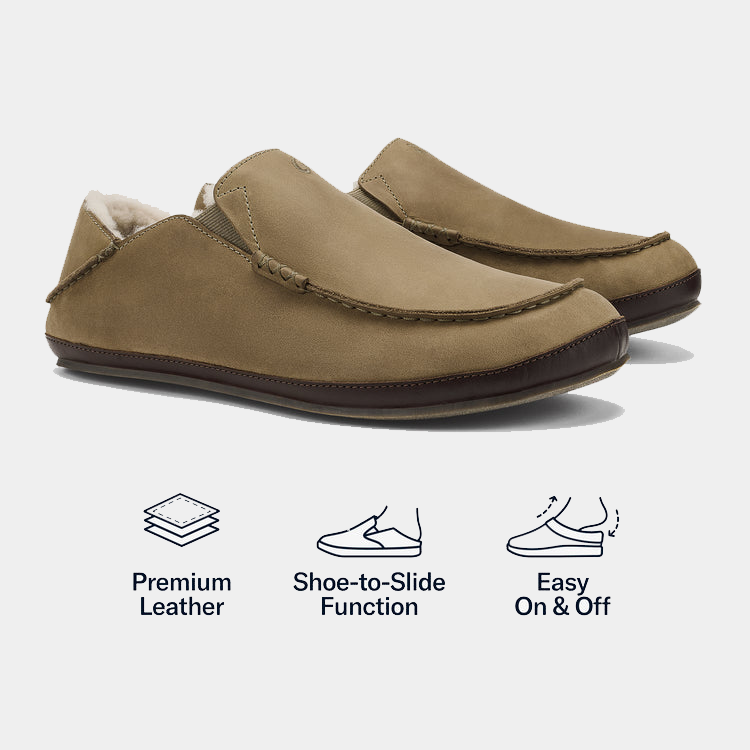 Moloa Slipper Sneakers - Premium Brand Shoes for Men and Women