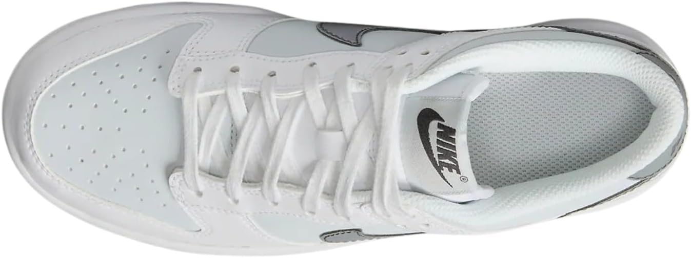 Big Kid's Nike Dunk Low White/Smoke Grey-Pure Platinum (FV0365 100)