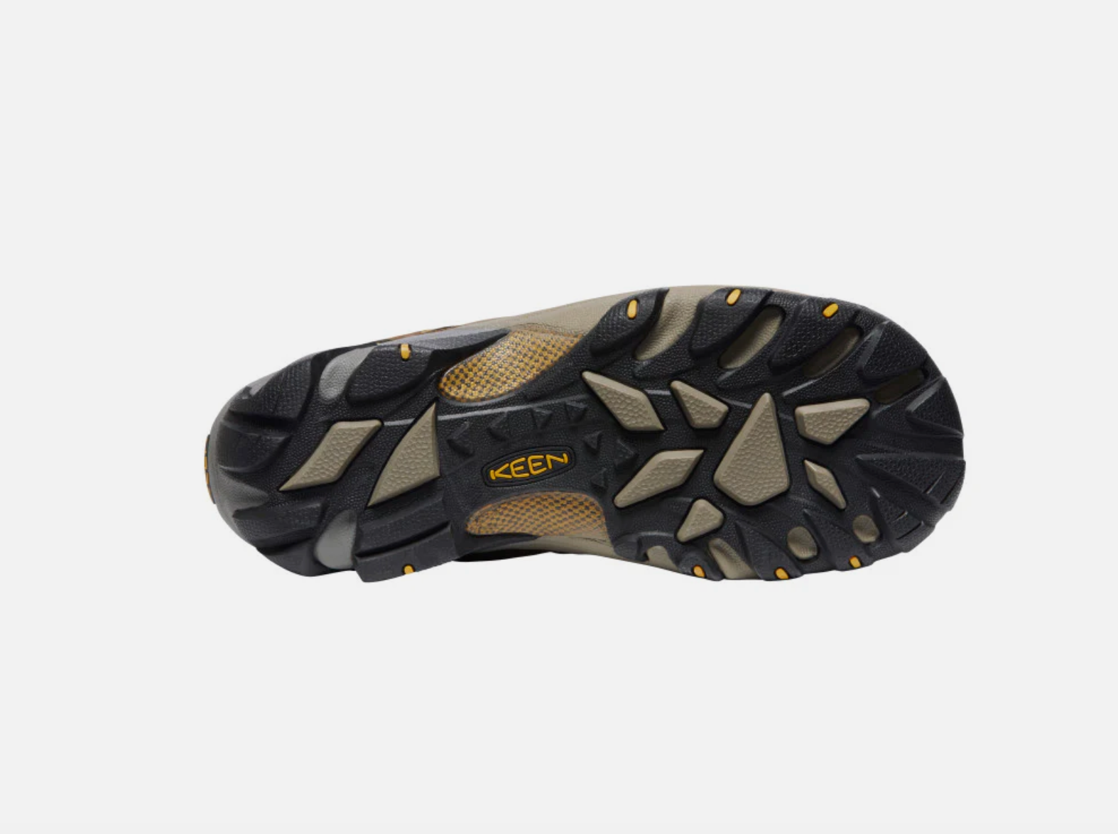 Targhee II Waterproof Sneakers - Premium Brand Shoes for Men and Women